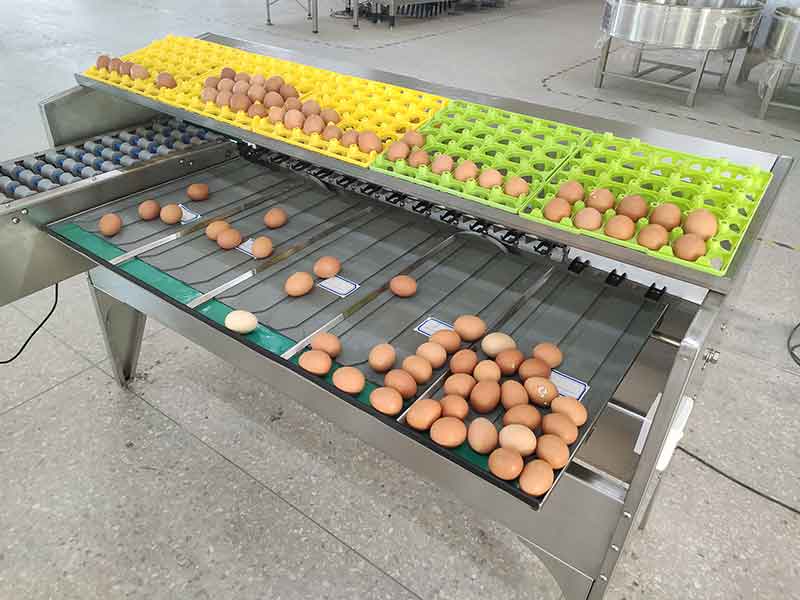 Стол для ручной расфасовки яиц