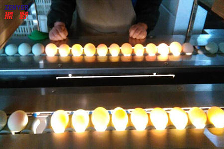 Candling