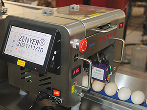 Egg Printing