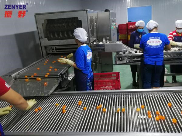 Ручной сбор желтков, белков и яичной скорлупы