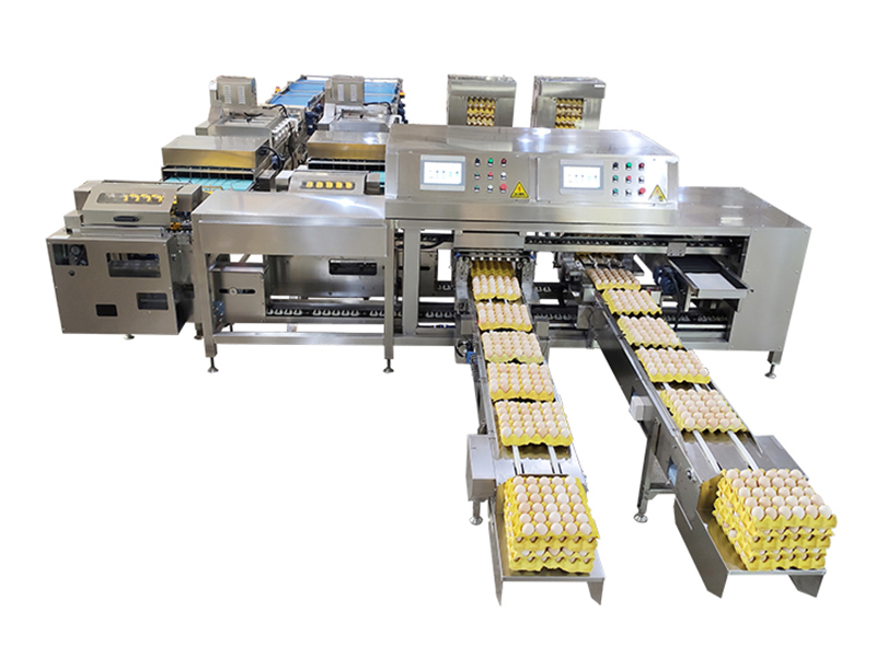 714 Egg Farm Packer