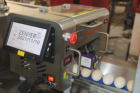 Printing (option)